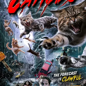 Photo du film : Catnado