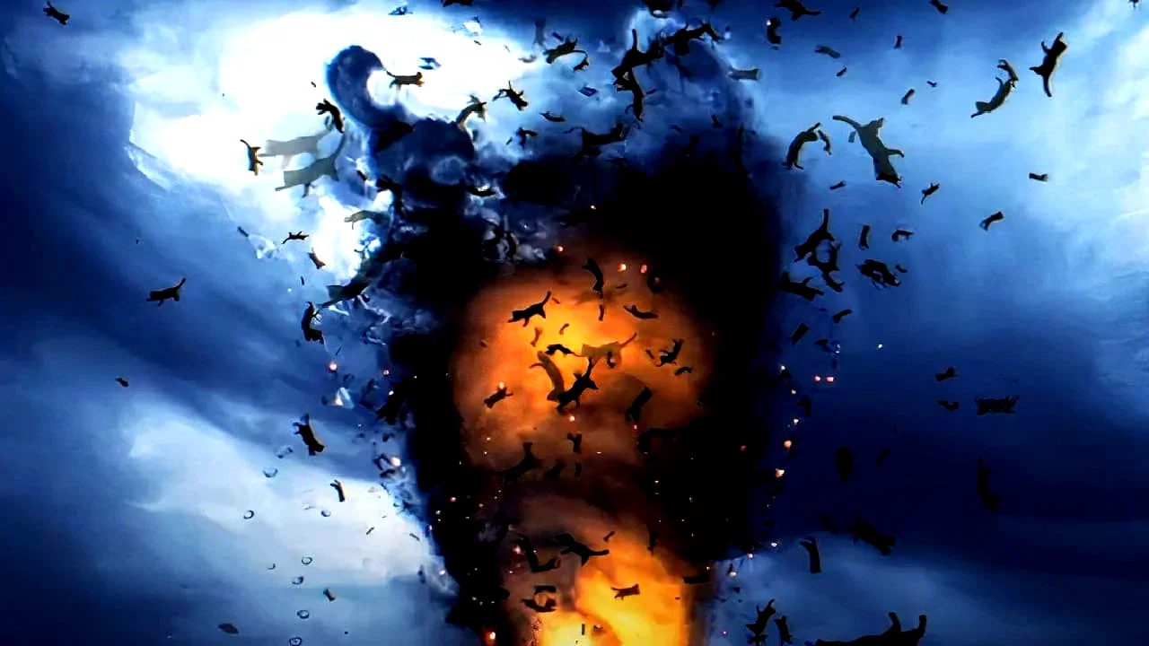 Photo 2 du film : Catnado