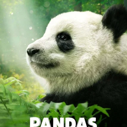 Miniature photo du film : Pandas