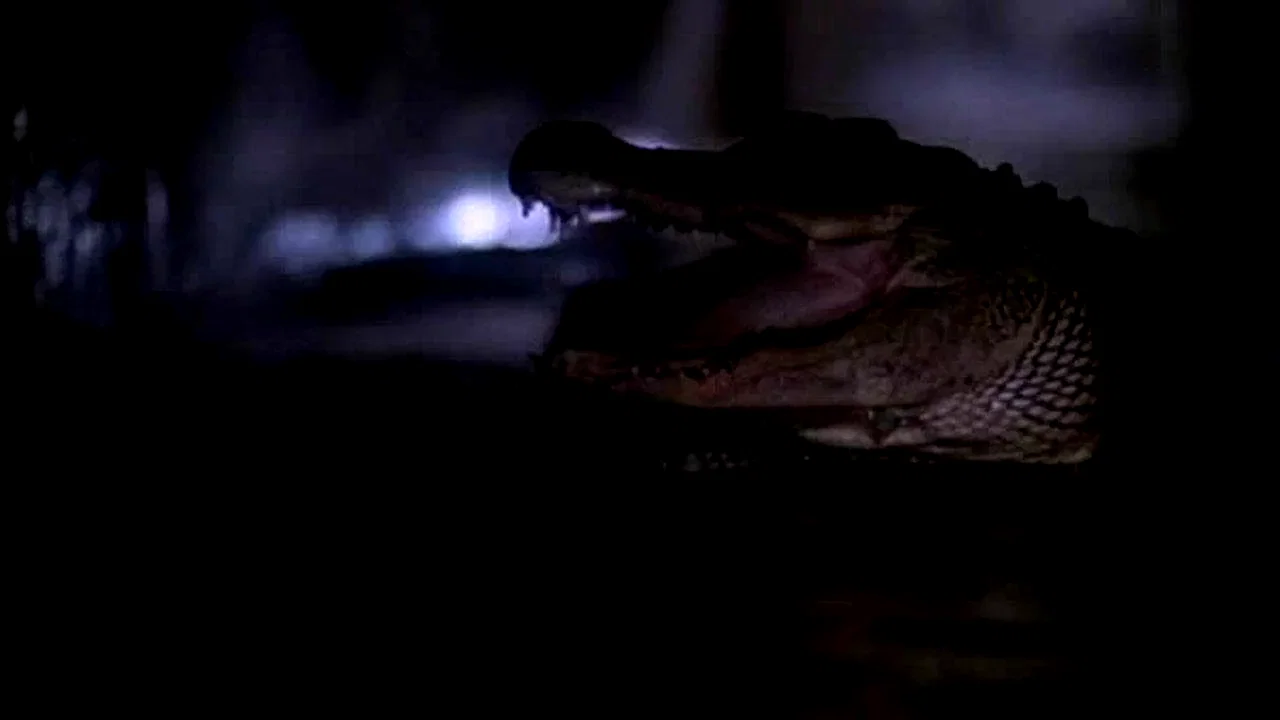 Photo 1 du film : Alligator 2 - The Mutation