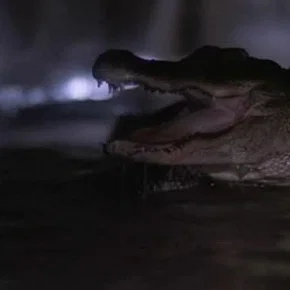 Photo du film : Alligator 2 - The Mutation