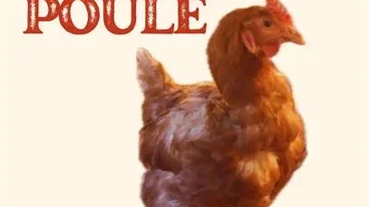 Affiche du film : L’œuf et la poule