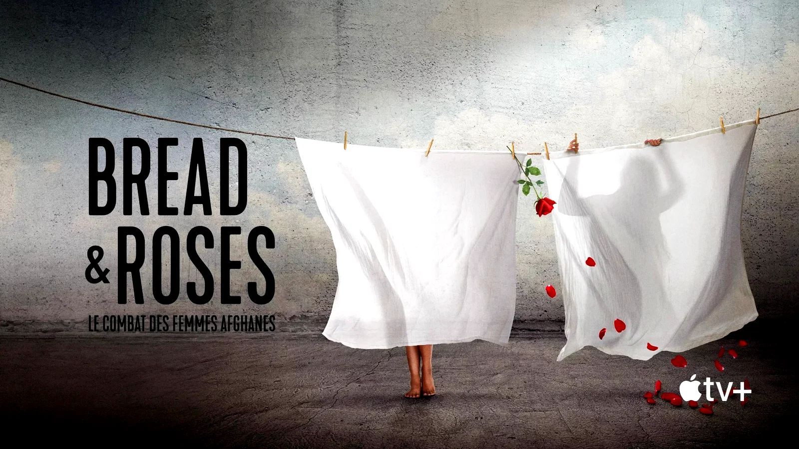 Photo du film : Bread & Roses : le combat des femmes afghanes