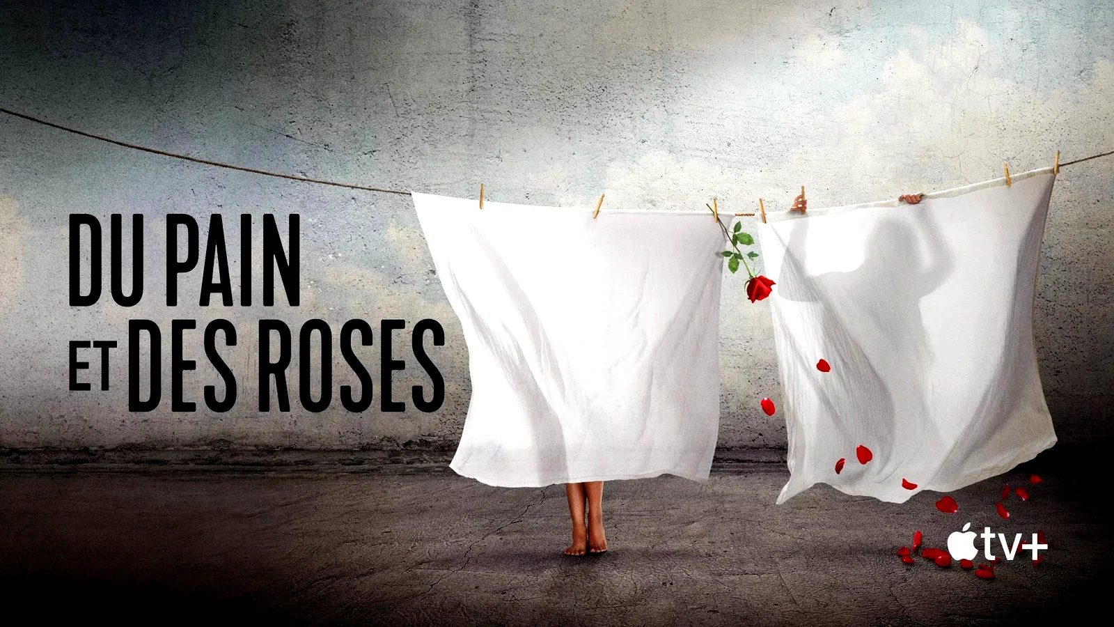 Photo du film : Bread & Roses : le combat des femmes afghanes