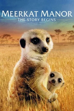 Affiche du film Le clan des suricates - l'aventure commence