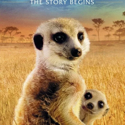 Miniature photo du film : Le clan des suricates - l'aventure commence