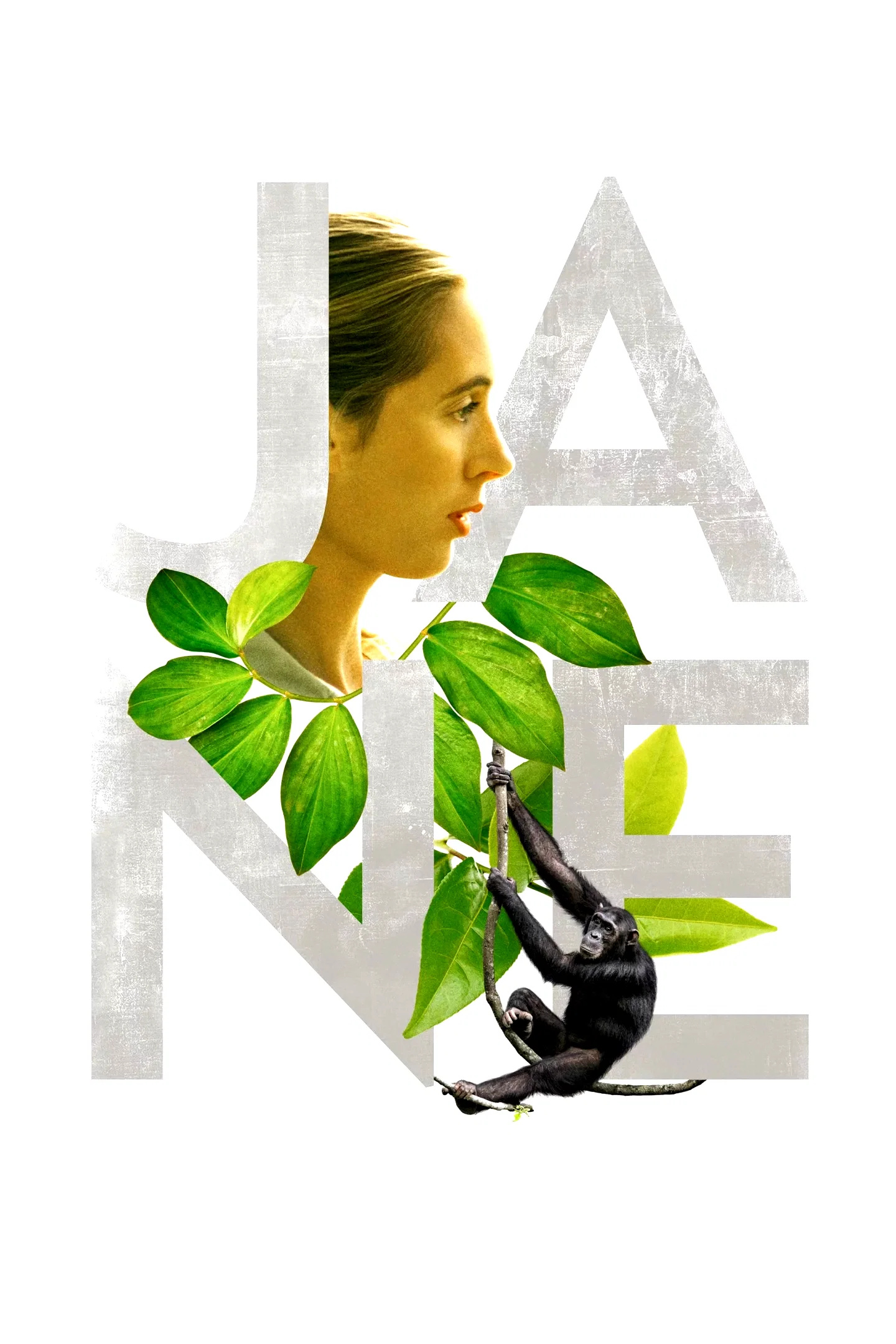 Affiche du film : Jane