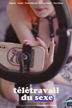 Affiche du film Télétravail du sexe