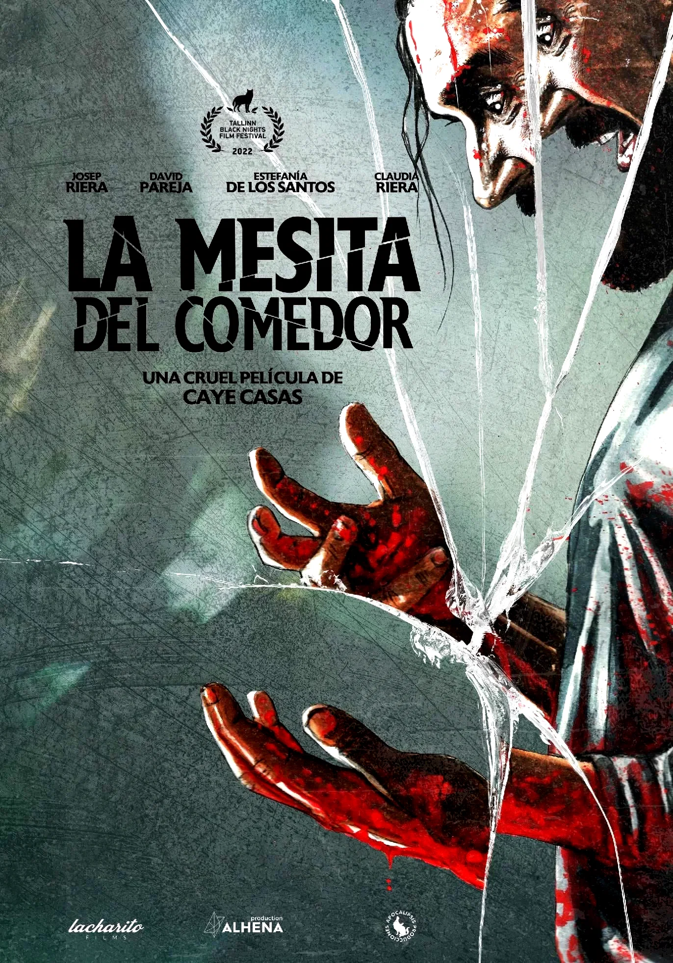 Photo 1 du film : Accident domestique