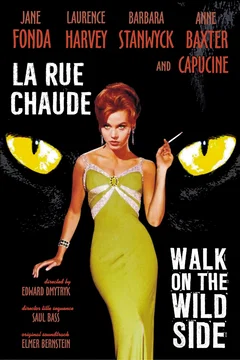 Affiche du film La rue chaude