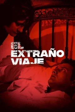 Affiche du film Un étrange voyage