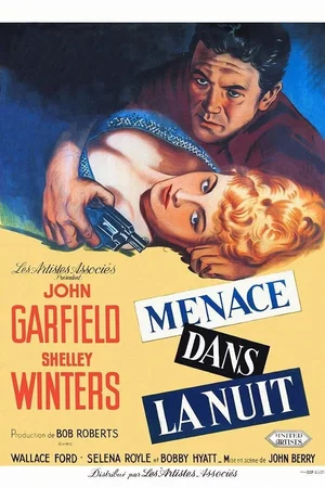 Affiche du film : Menaces dans la nuit