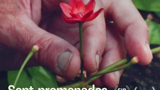 Affiche du film : Sept promenades avec Mark Brown