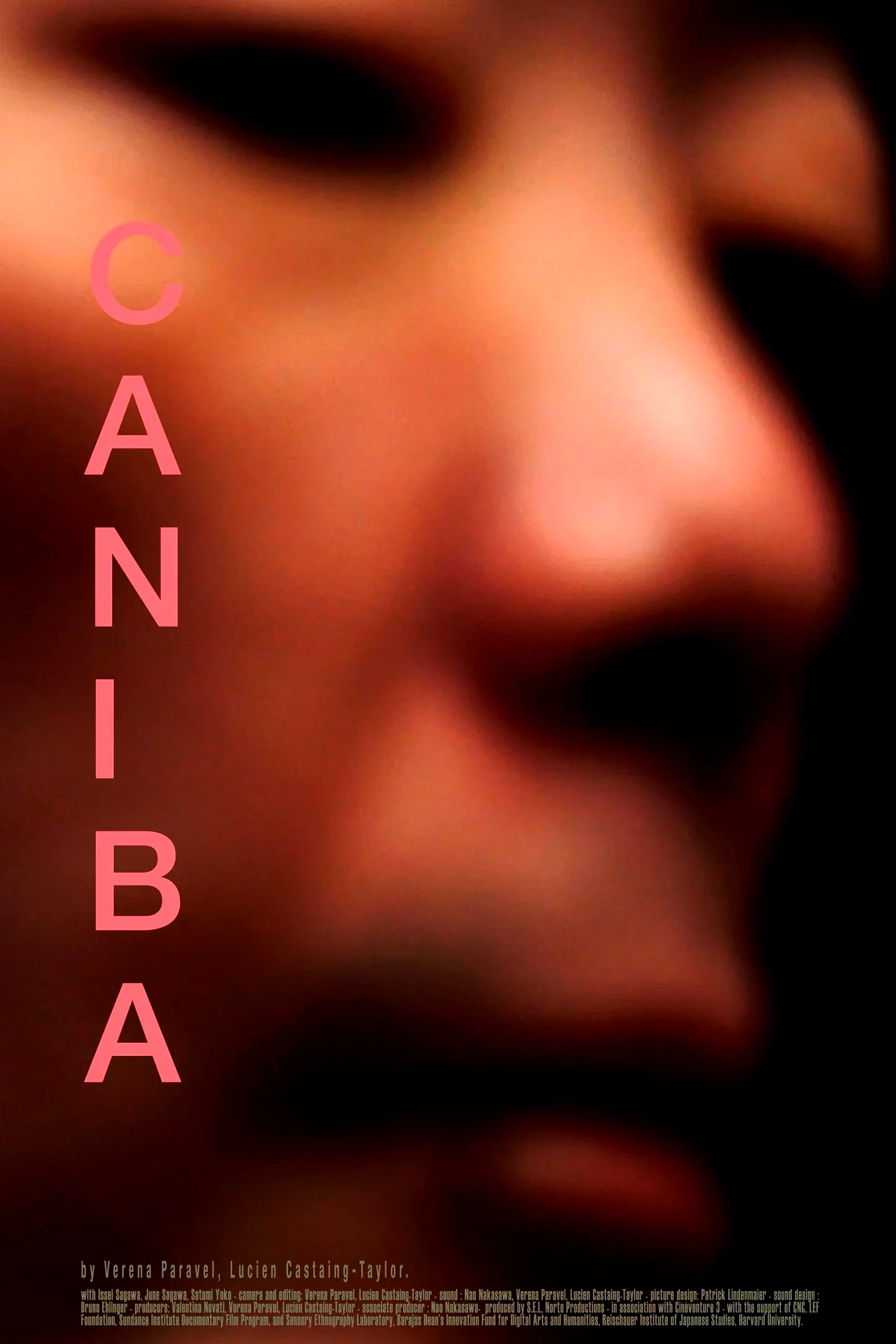 Affiche du film : Caniba