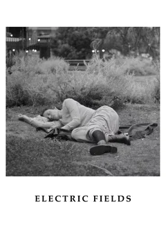 Affiche du film Electric Fields