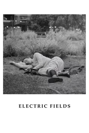 Affiche du film : Electric Fields