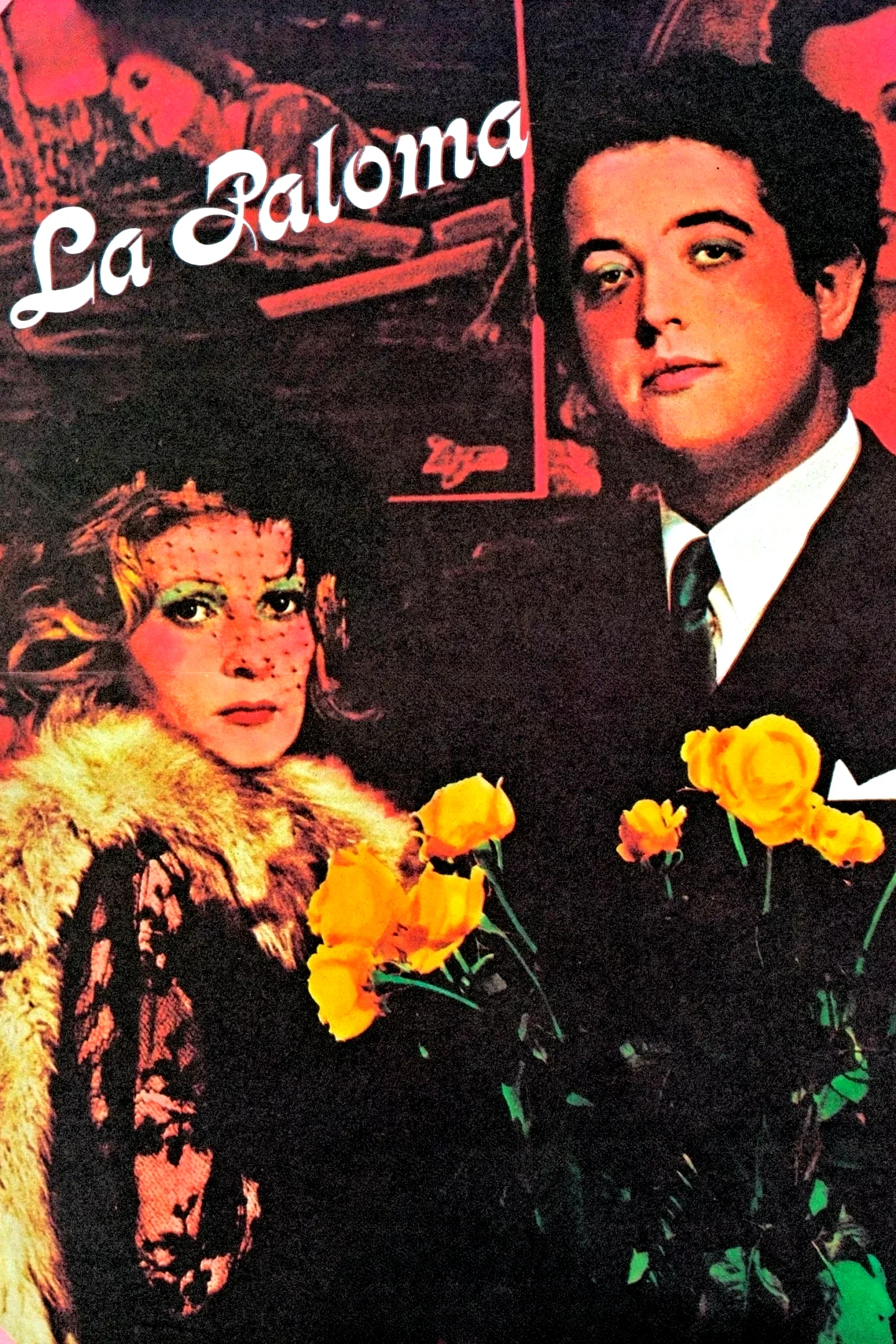 Affiche du film : La Paloma