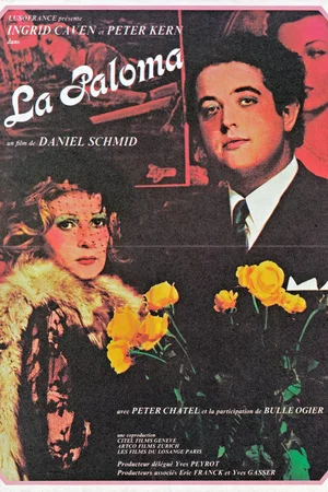 Photo 4 du film : La Paloma