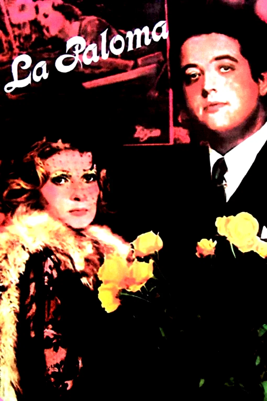 Photo 5 du film : La Paloma