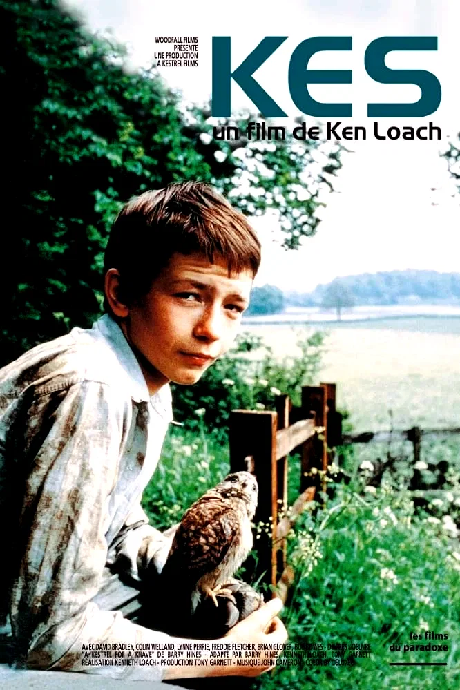 Affiche du film : Kes
