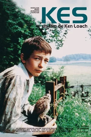 Affiche du film : Kes
