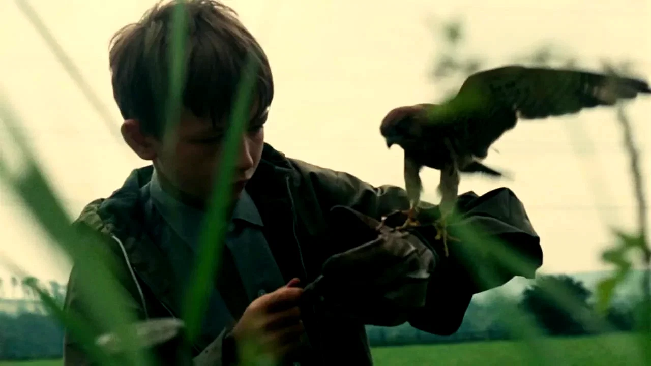 Photo 7 du film : Kes