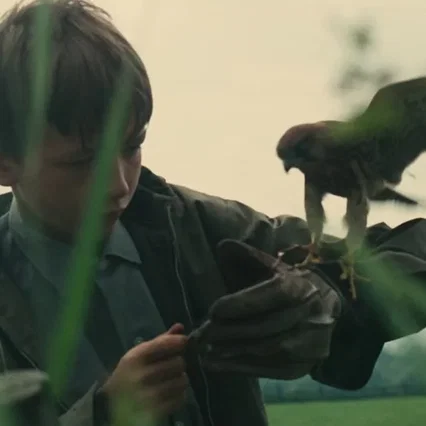 Miniature photo du film : Kes