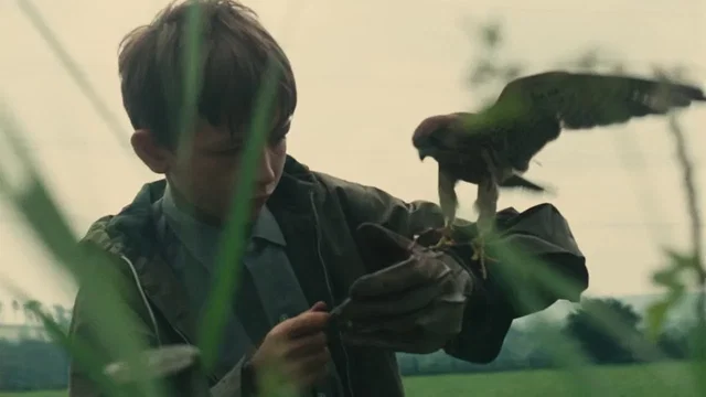 Photo 7 du film : Kes