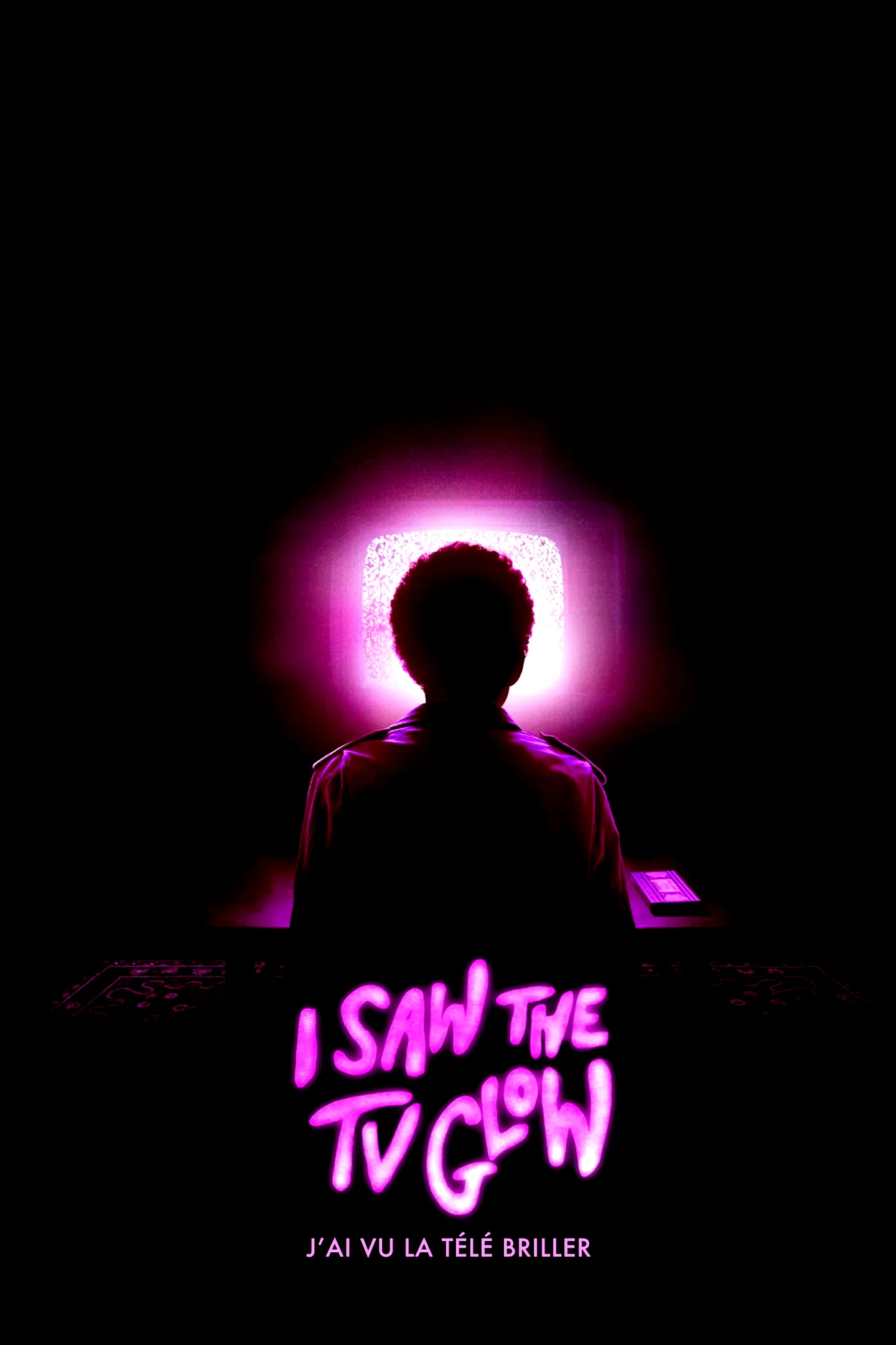 Affiche du film : I Saw the TV Glow