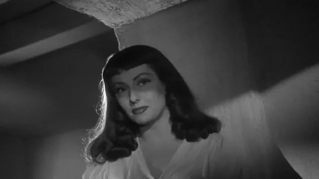Photo 4 du film : Maya