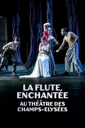 Photo 1 du film : La Flûte enchantée (Théâtre des Champs-Elysées)