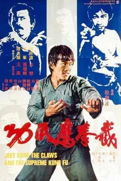 Affiche du film La vengeance aux poings d'acier