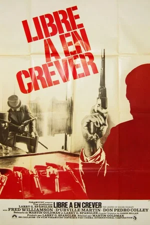 Affiche du film : The Legend of Nigger Charley