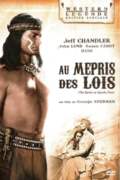 Affiche du film Au mépris des lois