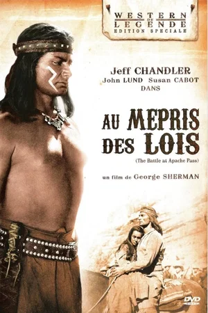 Affiche du film : Au mépris des lois