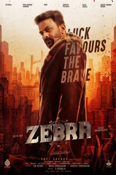 Affiche du film Zebra