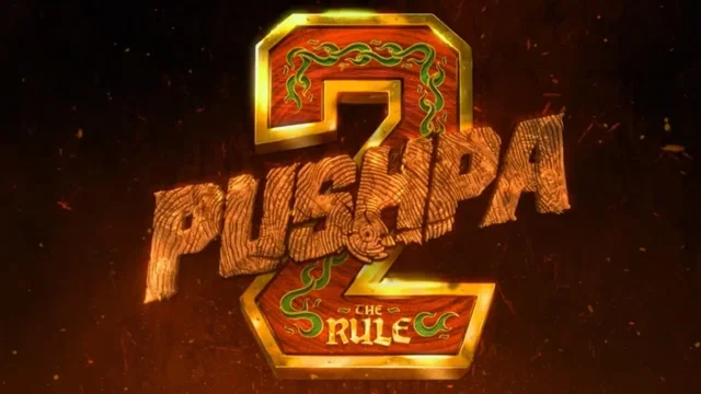 Photo du film : Pushpa: The Rule - Part 2
