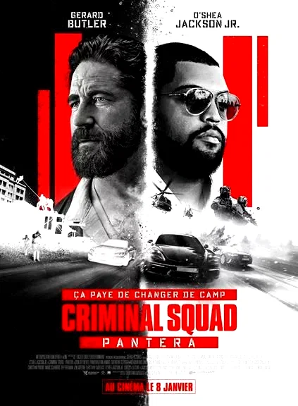 Affiche du film : Criminal Squad : Pantera