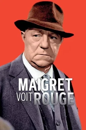 Photo du film : Maigret voit rouge
