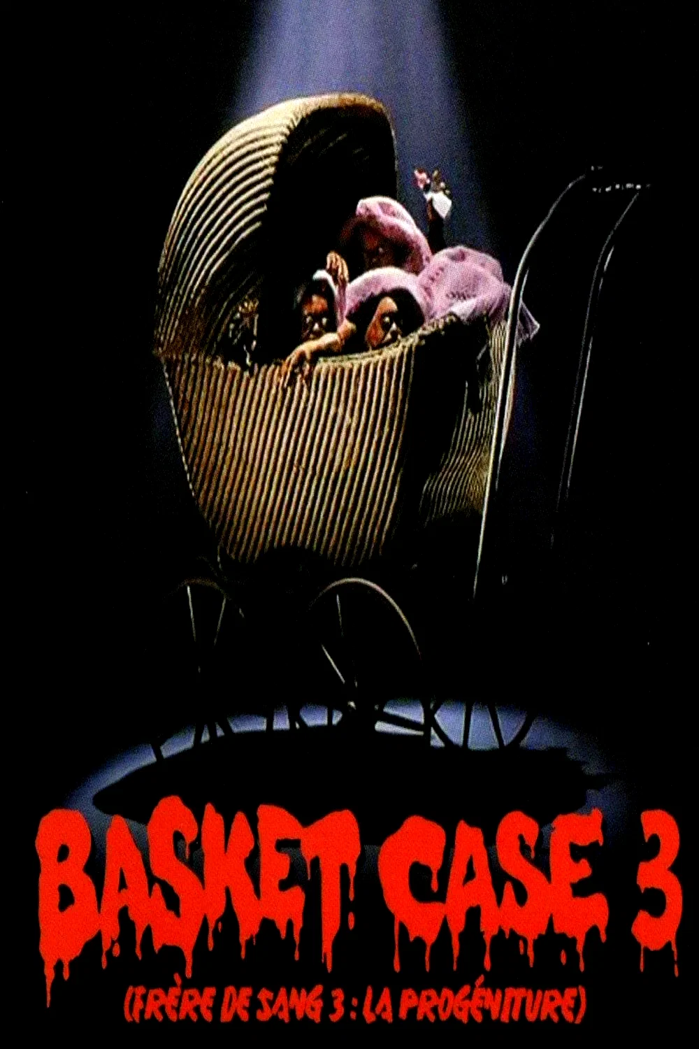 Affiche du film : Frère de sang 3 : La Progéniture