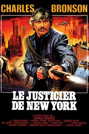 Affiche du film : Le justicier de New York