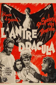 Affiche du film La maison de Dracula