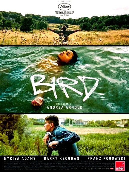 Affiche du film : Bird