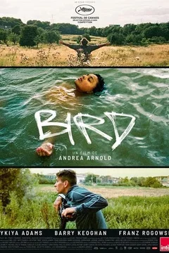 Affiche du film Bird