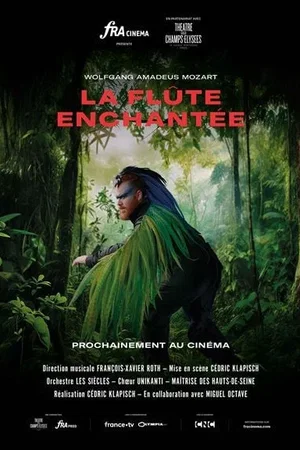 Affiche du film : La Flûte enchantée (Théâtre des Champs-Elysées)
