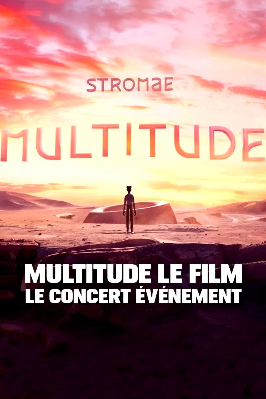 Affiche du film : Multitude, le film