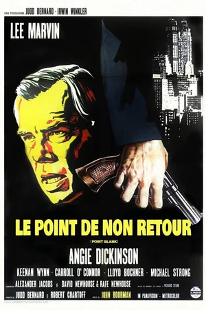 Affiche du film : Le Point de non-retour