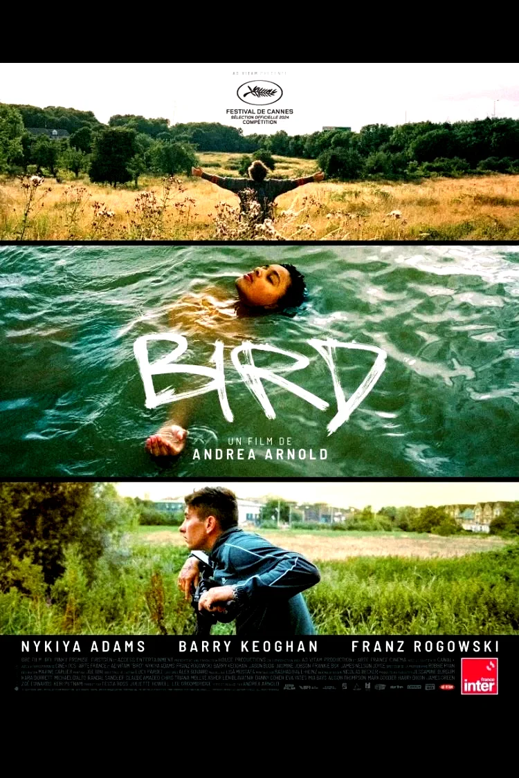 Photo 2 du film : Bird