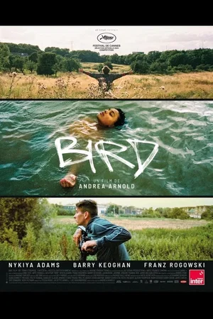 Photo du film : Bird