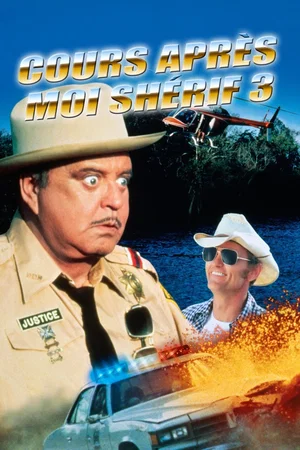Affiche du film : Cours après moi Shérif 3